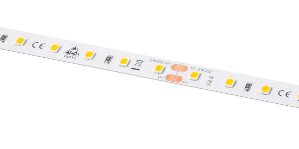 Barthelme - LED SOLUTIONS  LEDlight flex 12 10 LITE 1500